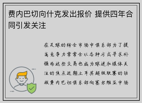 费内巴切向什克发出报价 提供四年合同引发关注
